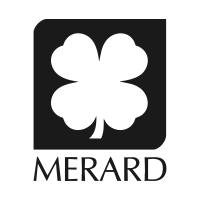 Logo Merard
